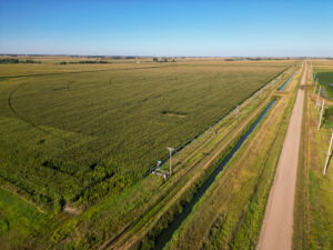 Live auction - Brown/Holt/Rock County, Nebraska