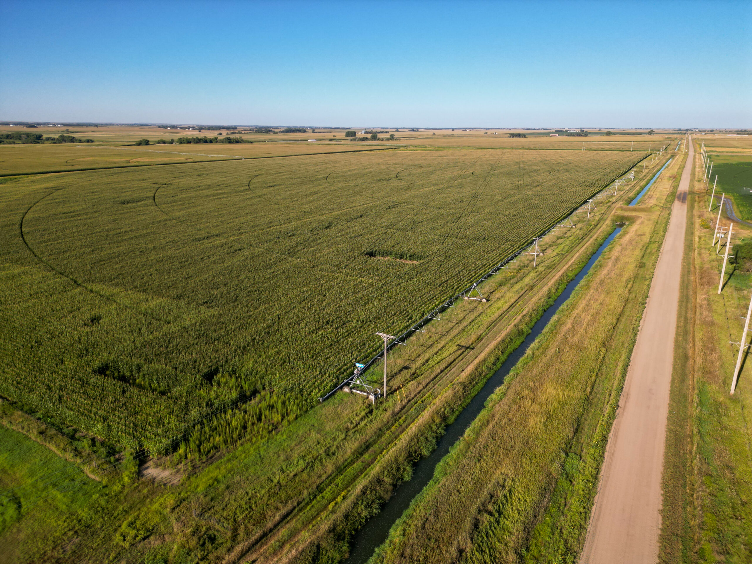 Live auction - Brown/Holt/Rock County, Nebraska