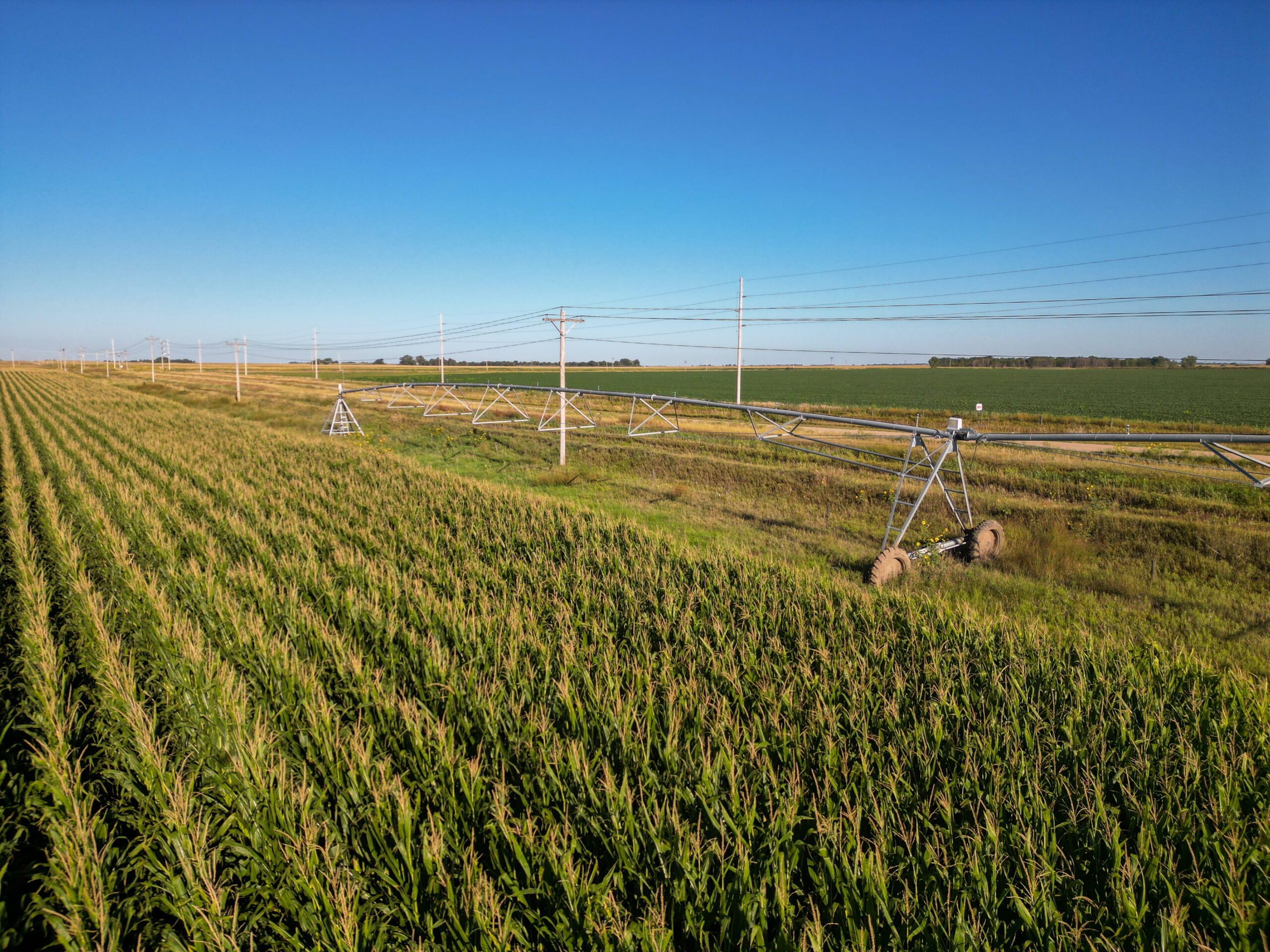 Live auction - Brown/Holt/Rock County, Nebraska
