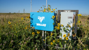 Live auction - Brown/Holt/Rock County, Nebraska