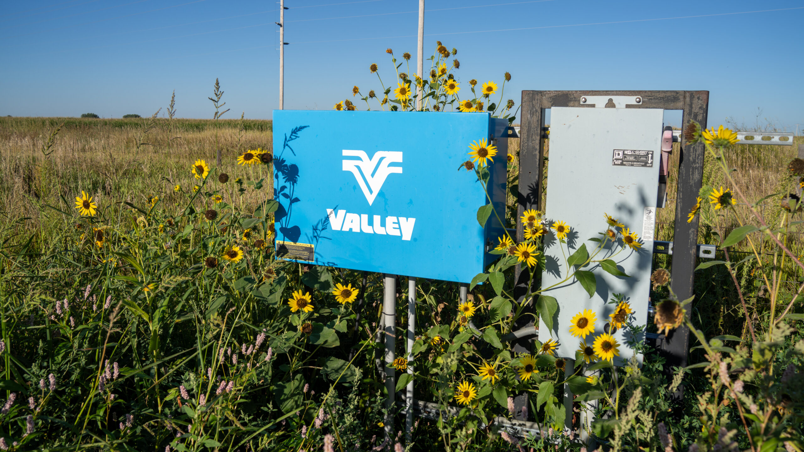 Live auction - Brown/Holt/Rock County, Nebraska