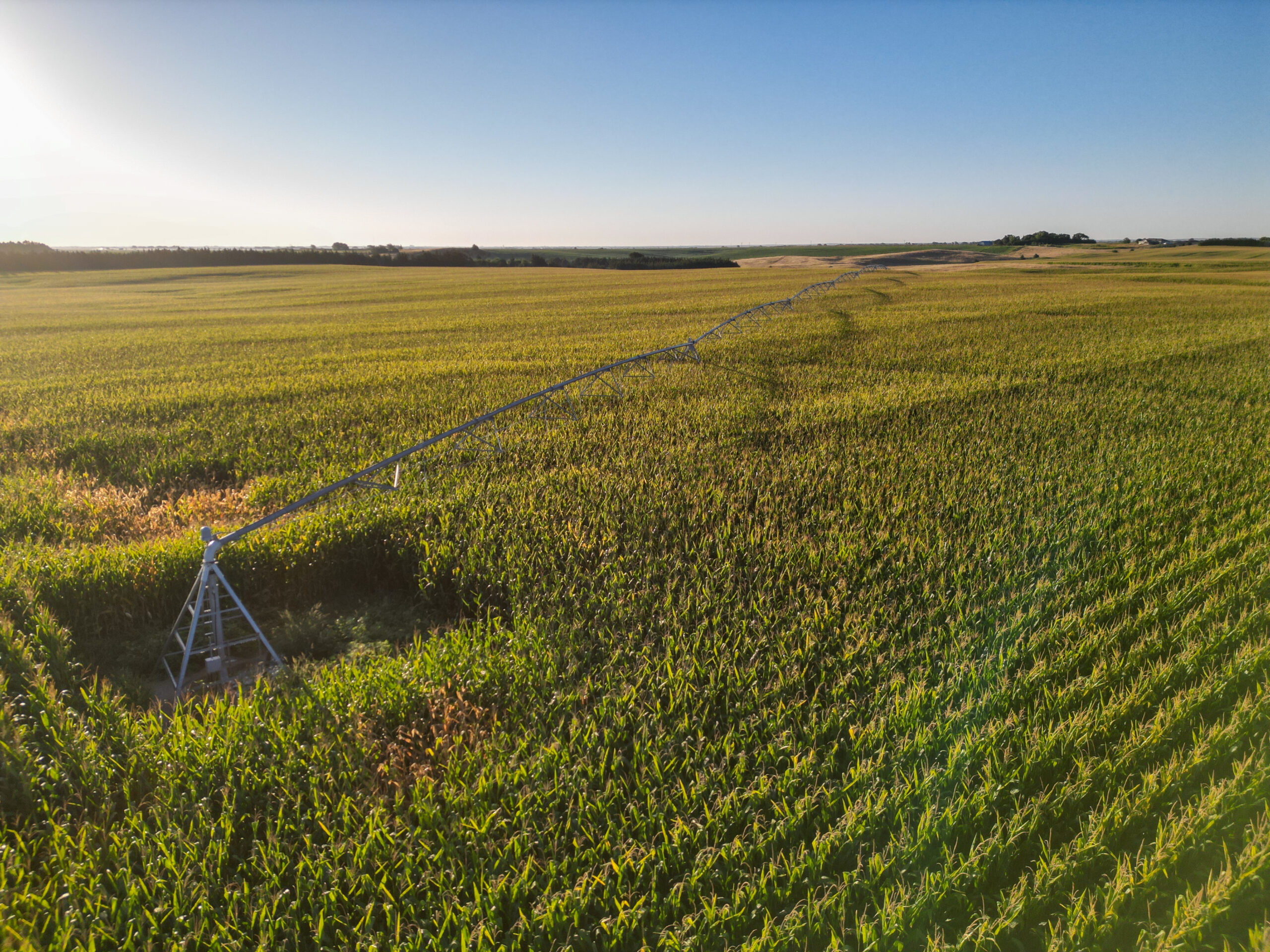 Live auction - Brown/Holt/Rock County, Nebraska