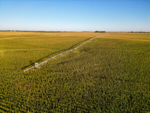 Live auction - Brown/Holt/Rock County, Nebraska