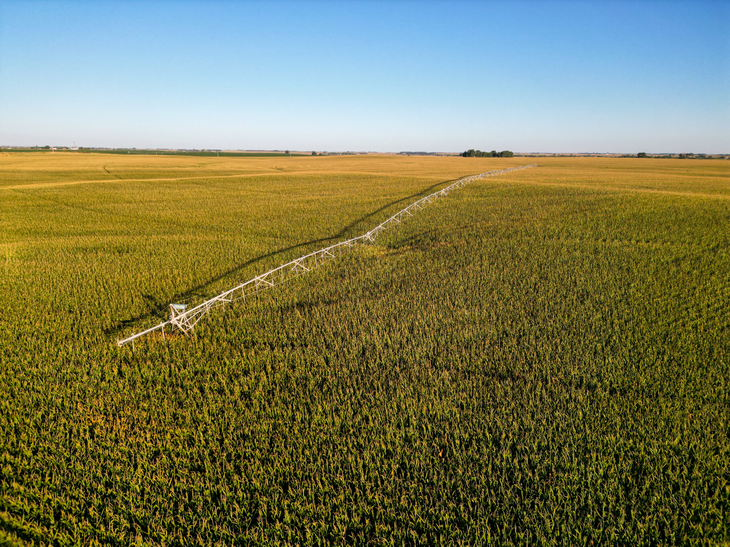 Live auction - Brown/Holt/Rock County, Nebraska