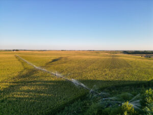 Live auction - Brown/Holt/Rock County, Nebraska