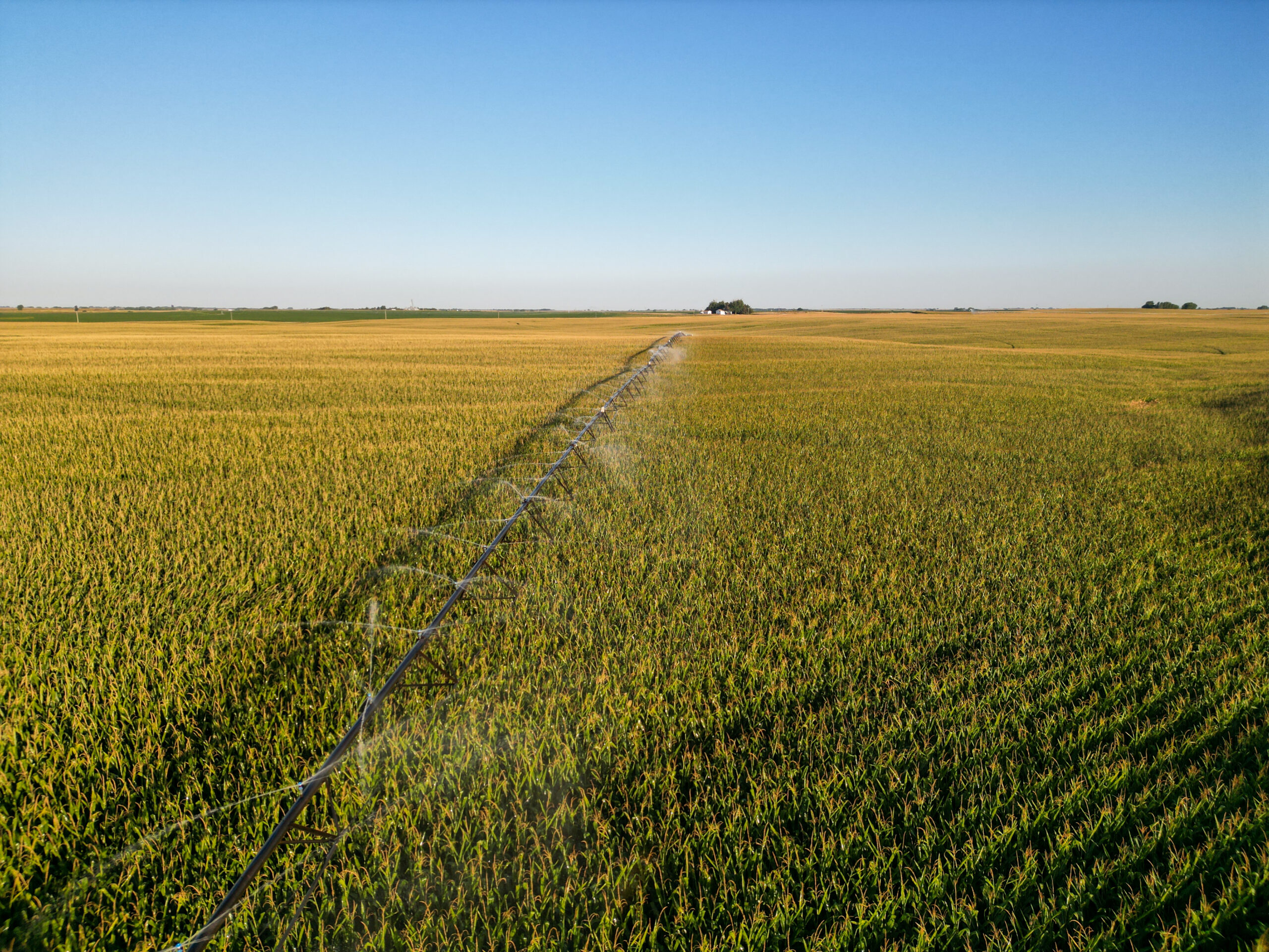 Live auction - Brown/Holt/Rock County, Nebraska