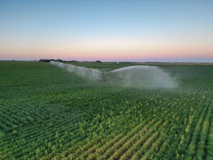 Live auction - Brown/Holt/Rock County, Nebraska