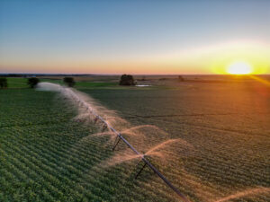Live auction - Brown/Holt/Rock County, Nebraska