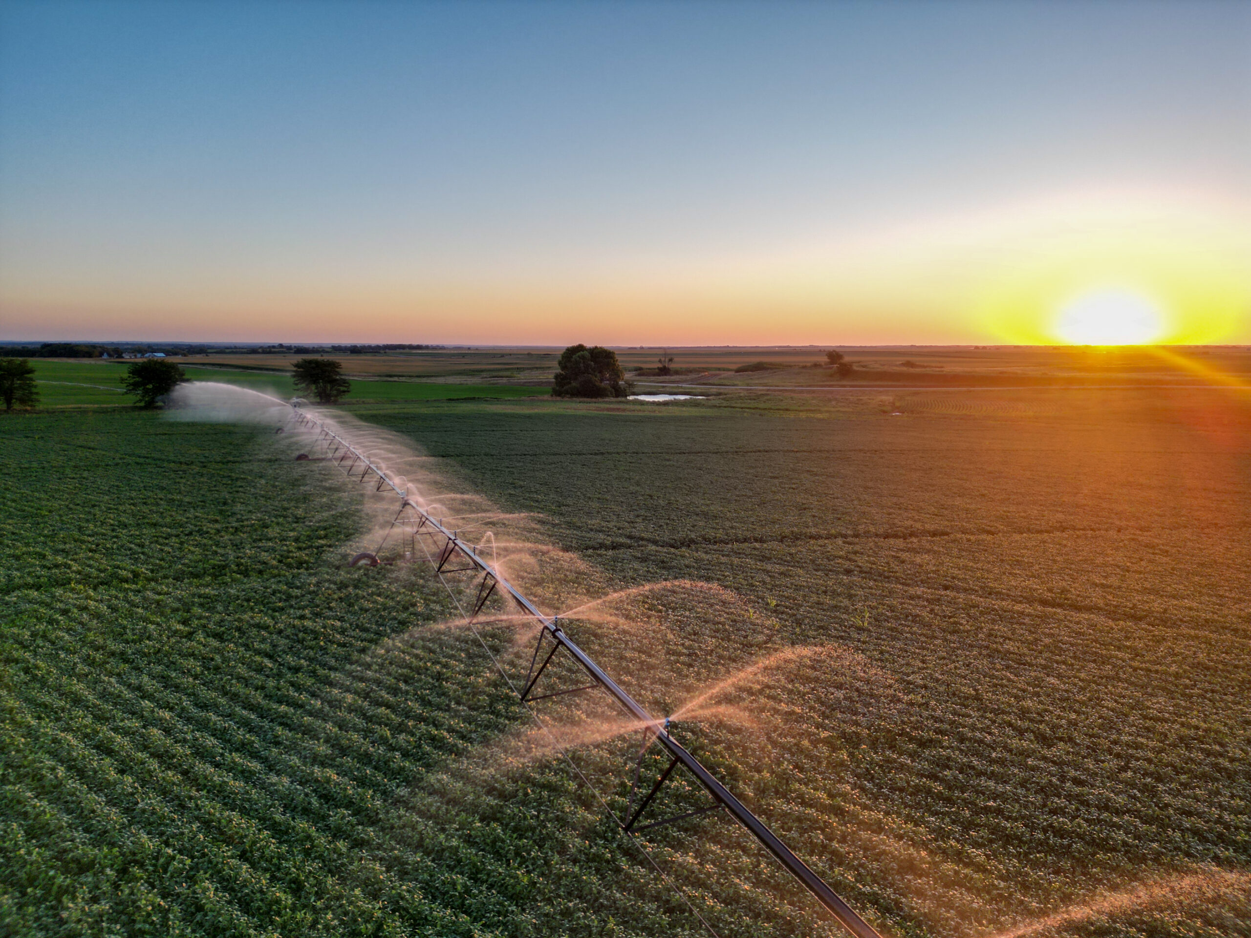 Live auction - Brown/Holt/Rock County, Nebraska