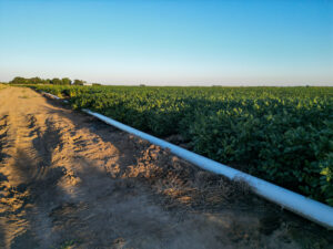 Live auction - Brown/Holt/Rock County, Nebraska