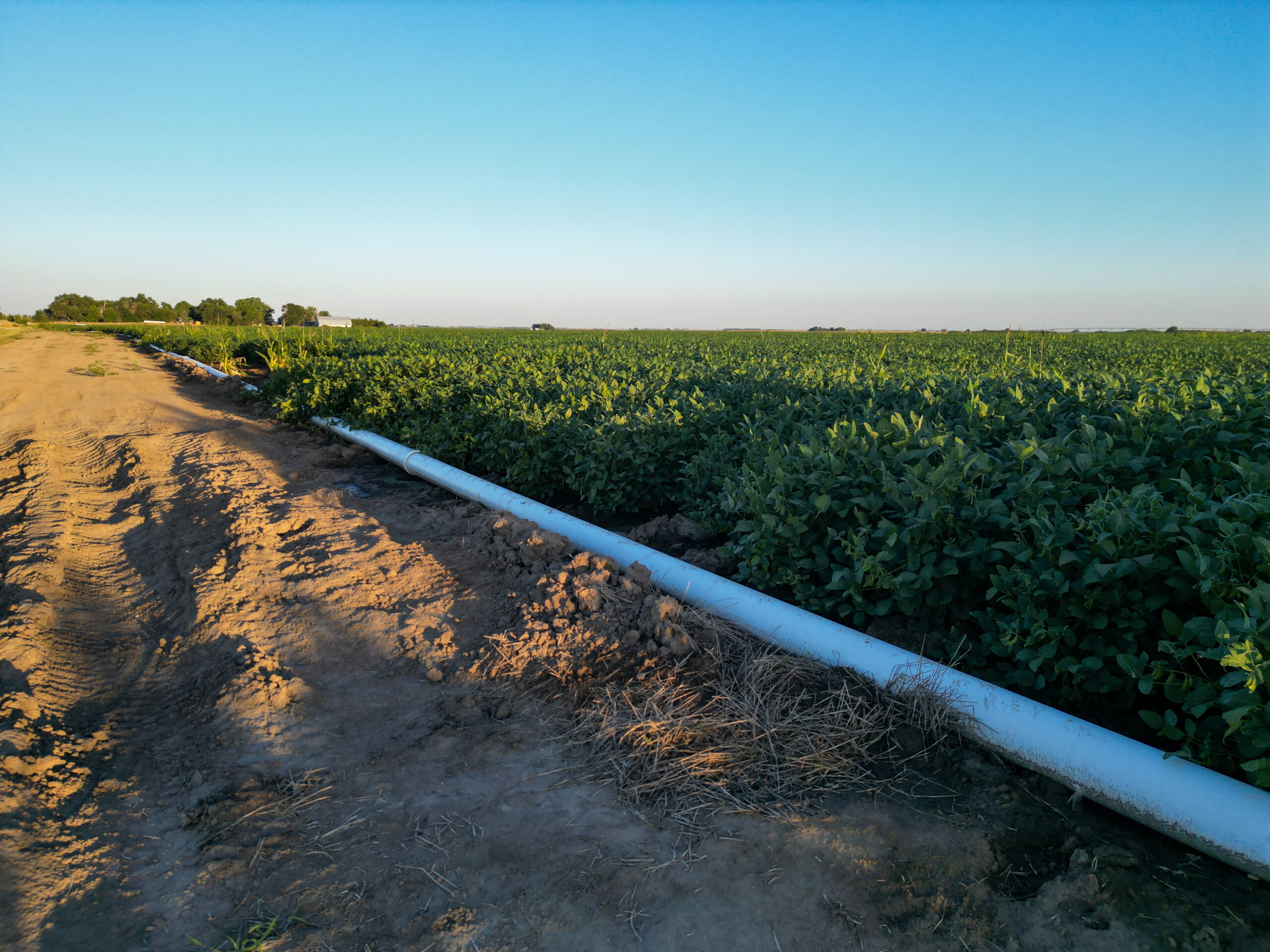 Live auction - Brown/Holt/Rock County, Nebraska