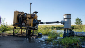 Live auction - Brown/Holt/Rock County, Nebraska