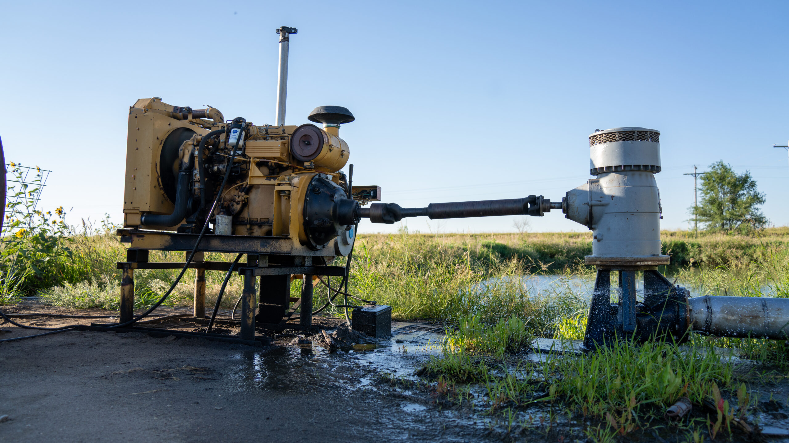 Live auction - Brown/Holt/Rock County, Nebraska