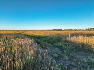 Live auction - Brown/Holt/Rock County, Nebraska