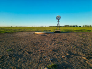 Live auction - Brown/Holt/Rock County, Nebraska