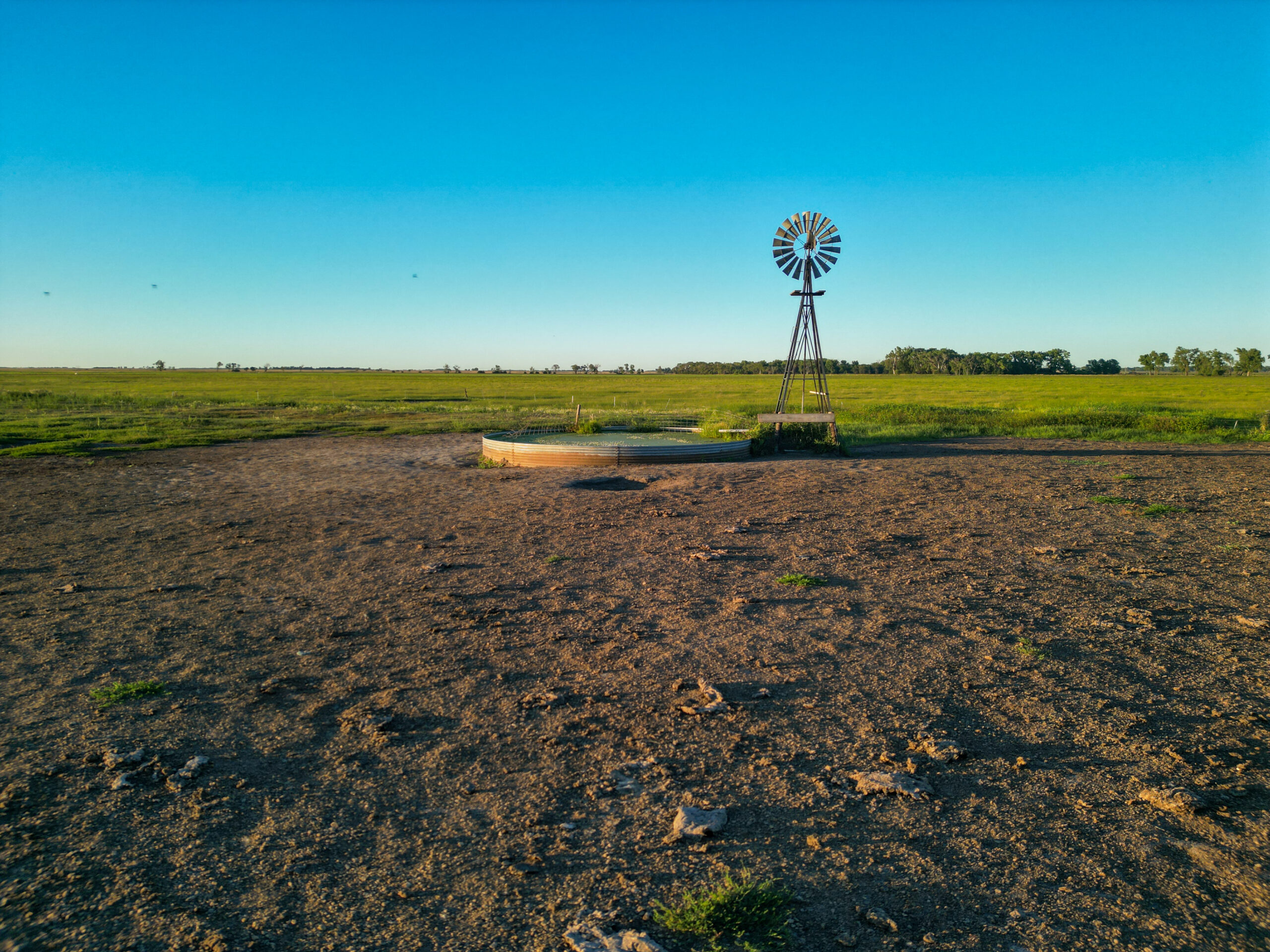Live auction - Brown/Holt/Rock County, Nebraska