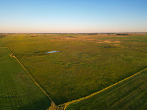 Live auction - Brown/Holt/Rock County, Nebraska