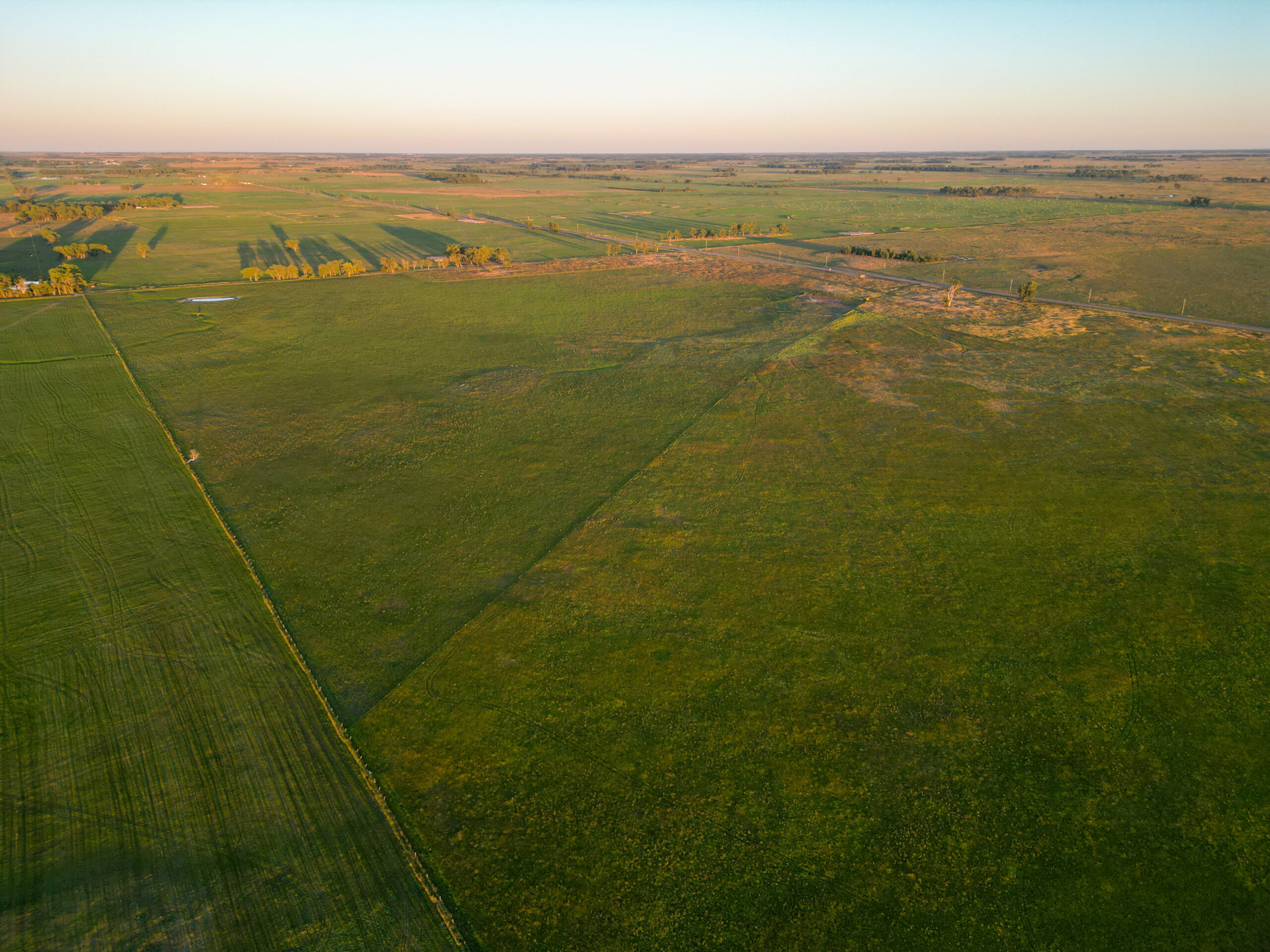 Live auction - Brown/Holt/Rock County, Nebraska