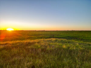 Live auction - Brown/Holt/Rock County, Nebraska