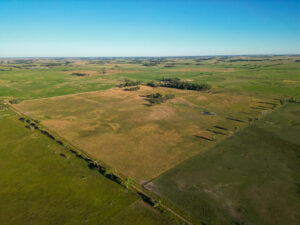 Live auction - Brown/Holt/Rock County, Nebraska