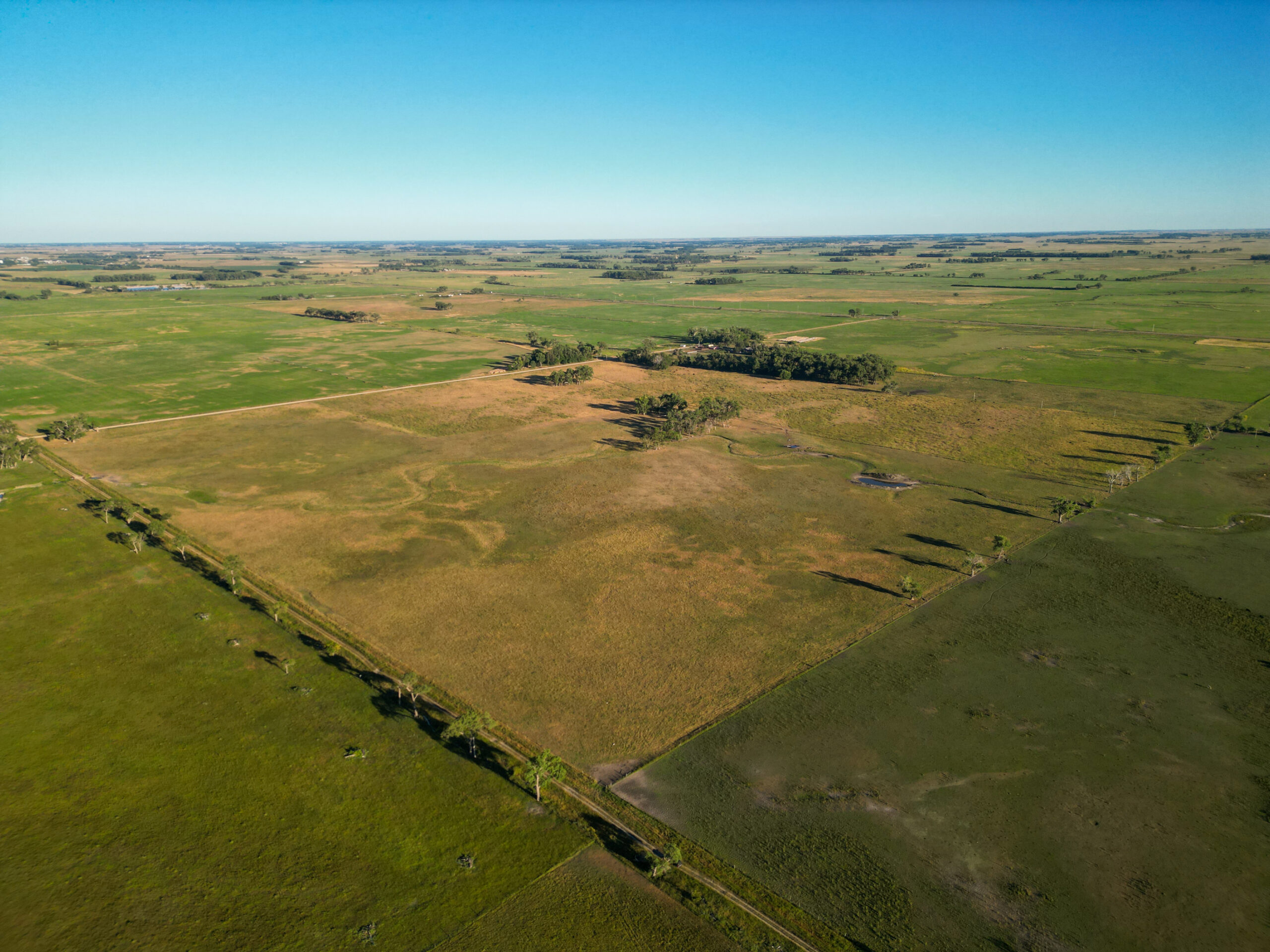 Live auction - Brown/Holt/Rock County, Nebraska
