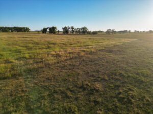 Live auction - Brown/Holt/Rock County, Nebraska