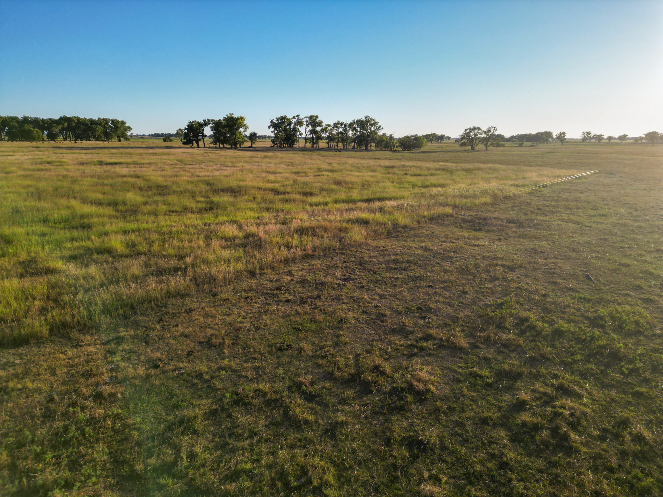 Live auction - Brown/Holt/Rock County, Nebraska