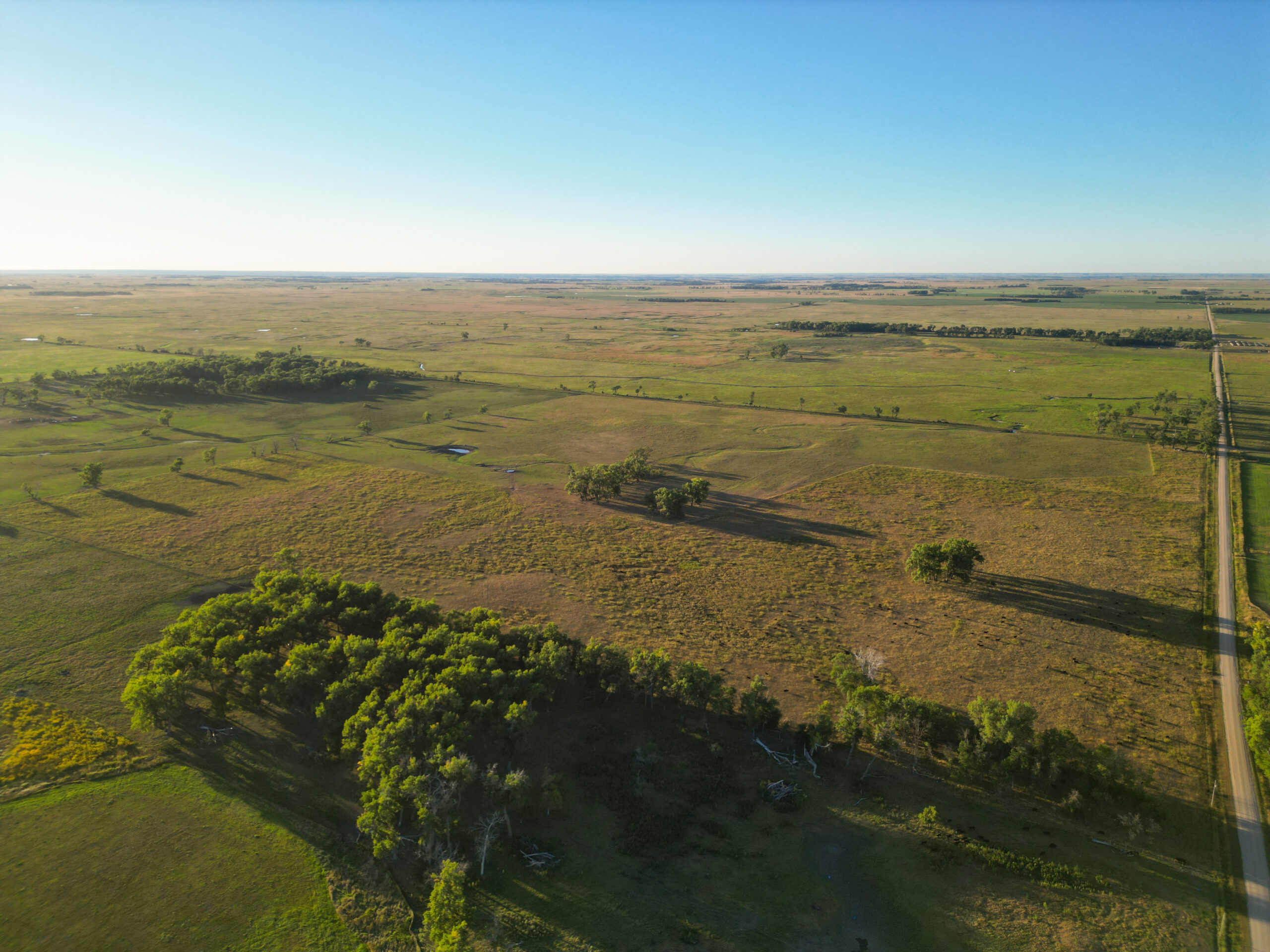 Live auction - Brown/Holt/Rock County, Nebraska