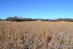 Pierce County Nebraska Pasture For Sale