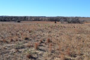 Pierce County Nebraska Pasture For Sale