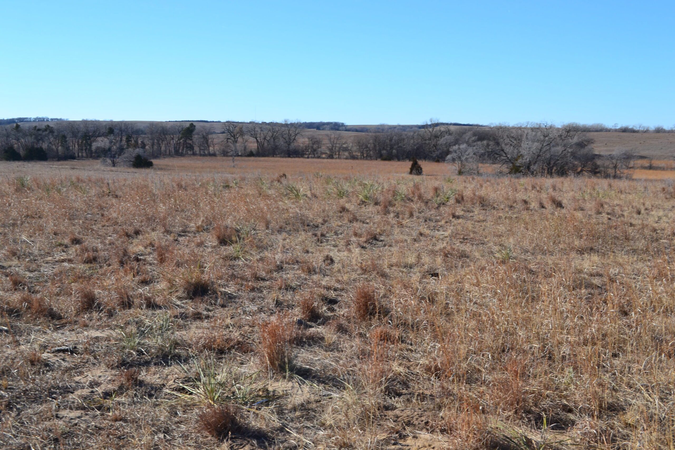 Pierce County Nebraska Pasture For Sale