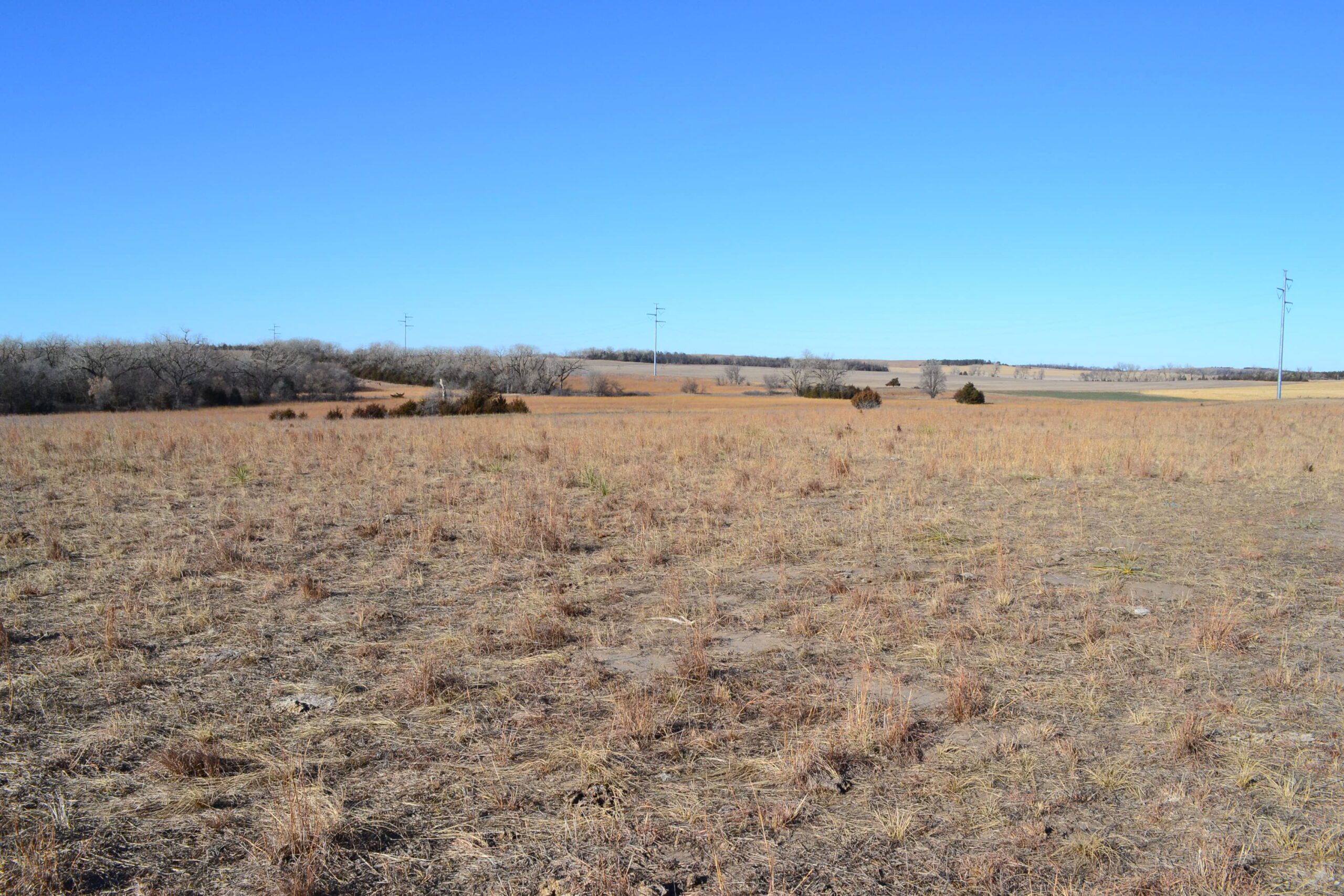 Pierce County Nebraska Pasture For Sale