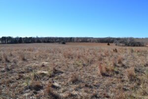 Pierce County Nebraska Pasture For Sale