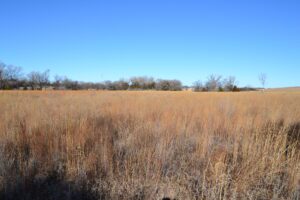 Pierce County Nebraska Pasture For Sale