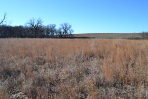 Pierce County Nebraska Pasture For Sale