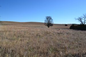 Pierce County Nebraska Pasture For Sale