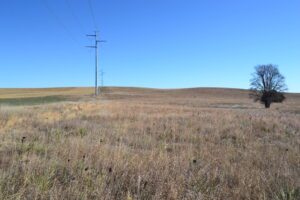 Pierce County Nebraska Pasture For Sale