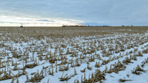 Holt County, Nebraska Irrigated Farms and Pasture Auction