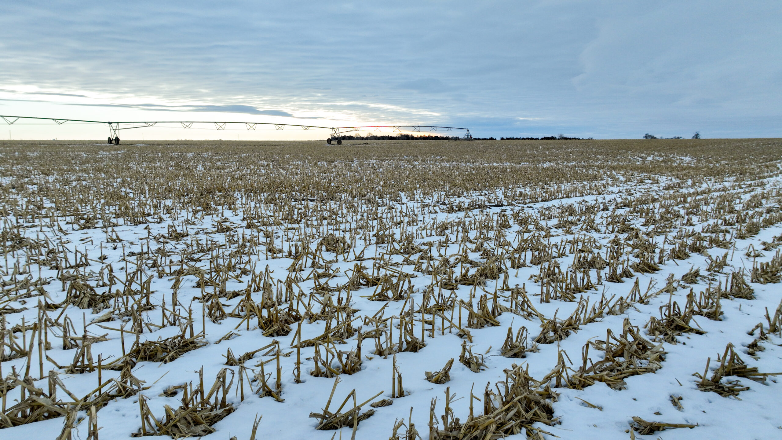 Holt County, Nebraska Irrigated Farms and Pasture Auction