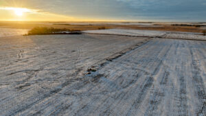 Holt County, Nebraska Irrigated Farms and Pasture Auction