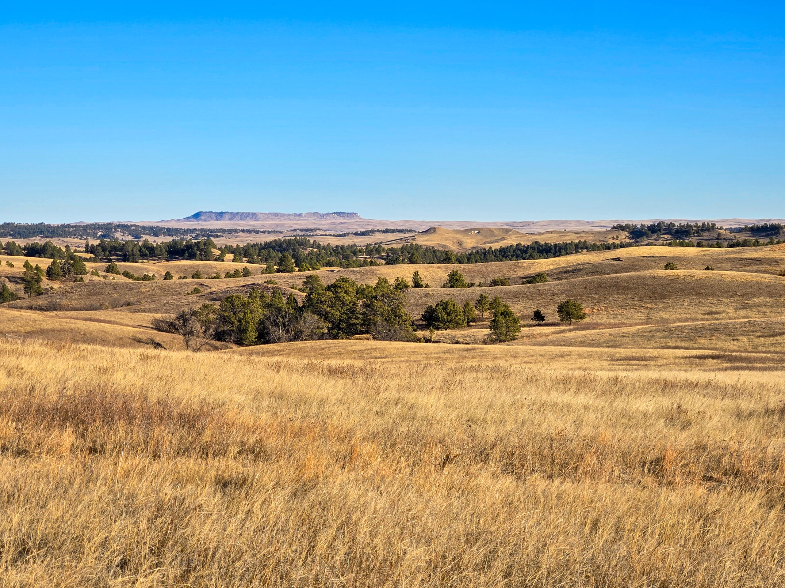 Bennett County, South Dakota Ranchland Auction