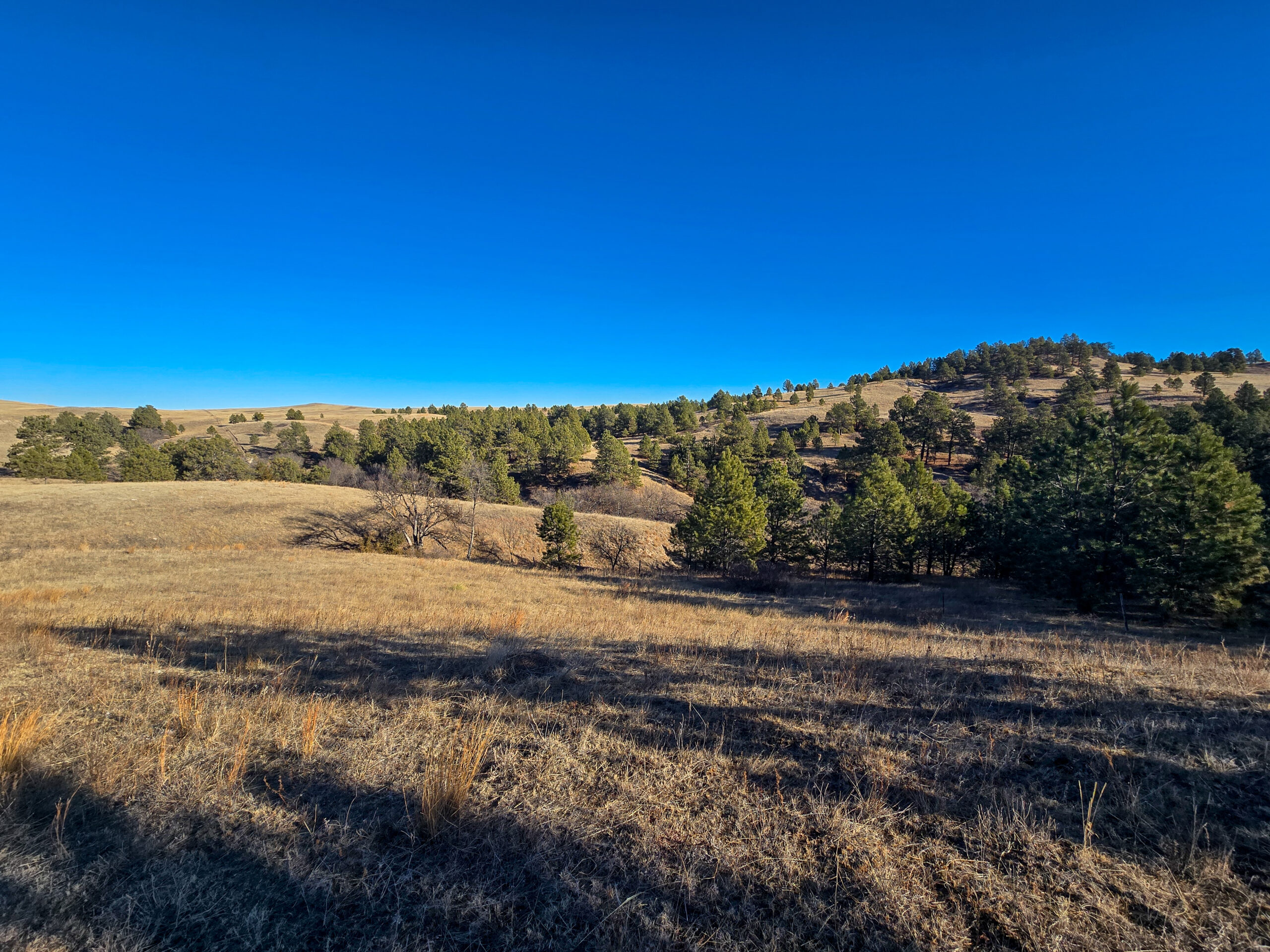 Bennett County, South Dakota Ranchland Auction