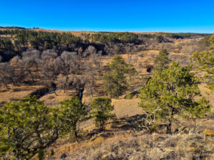 Bennett County, South Dakota Ranchland Auction