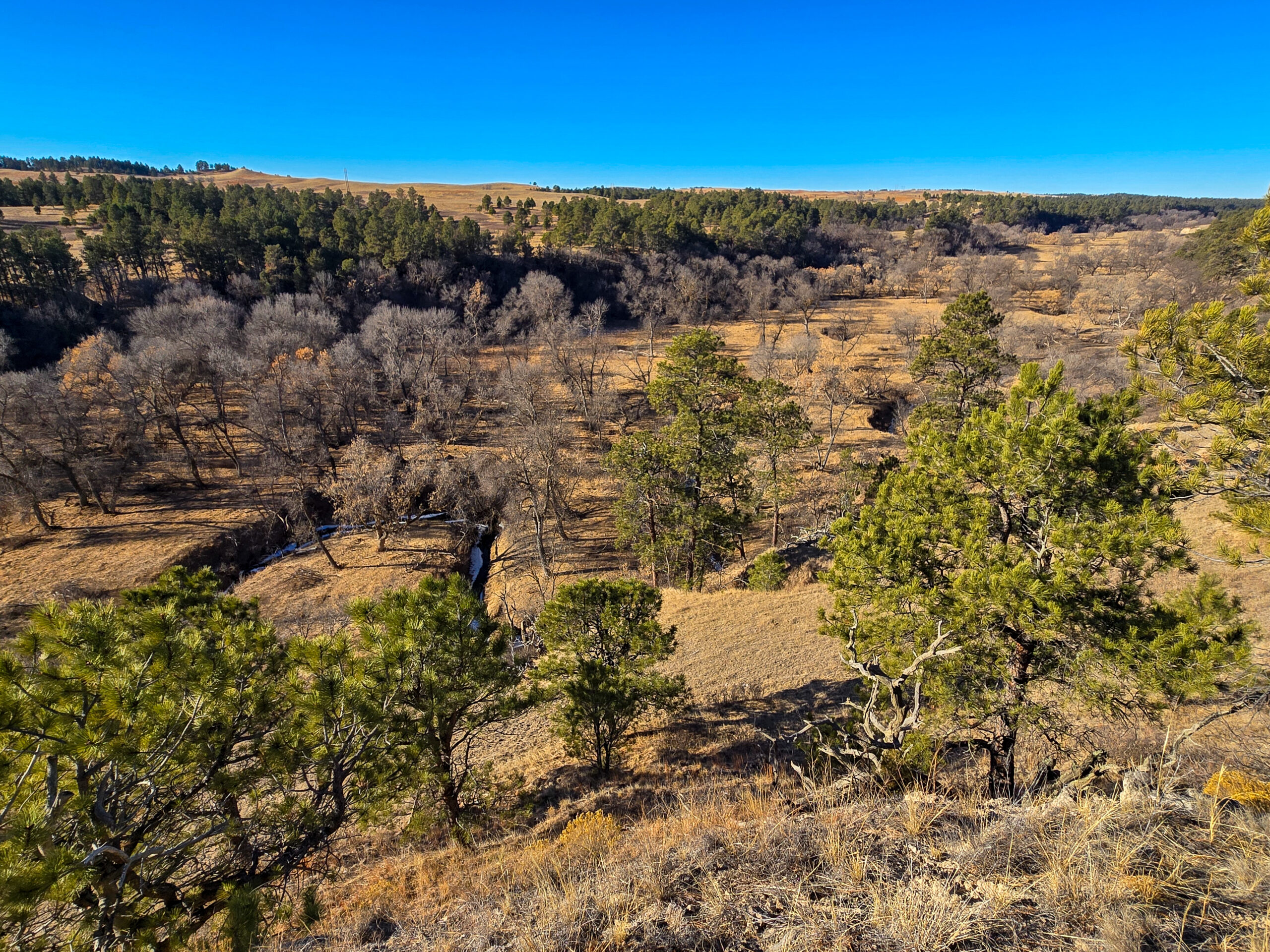 Bennett County, South Dakota Ranchland Auction