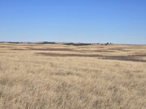Bennett County, South Dakota Ranchland Auction