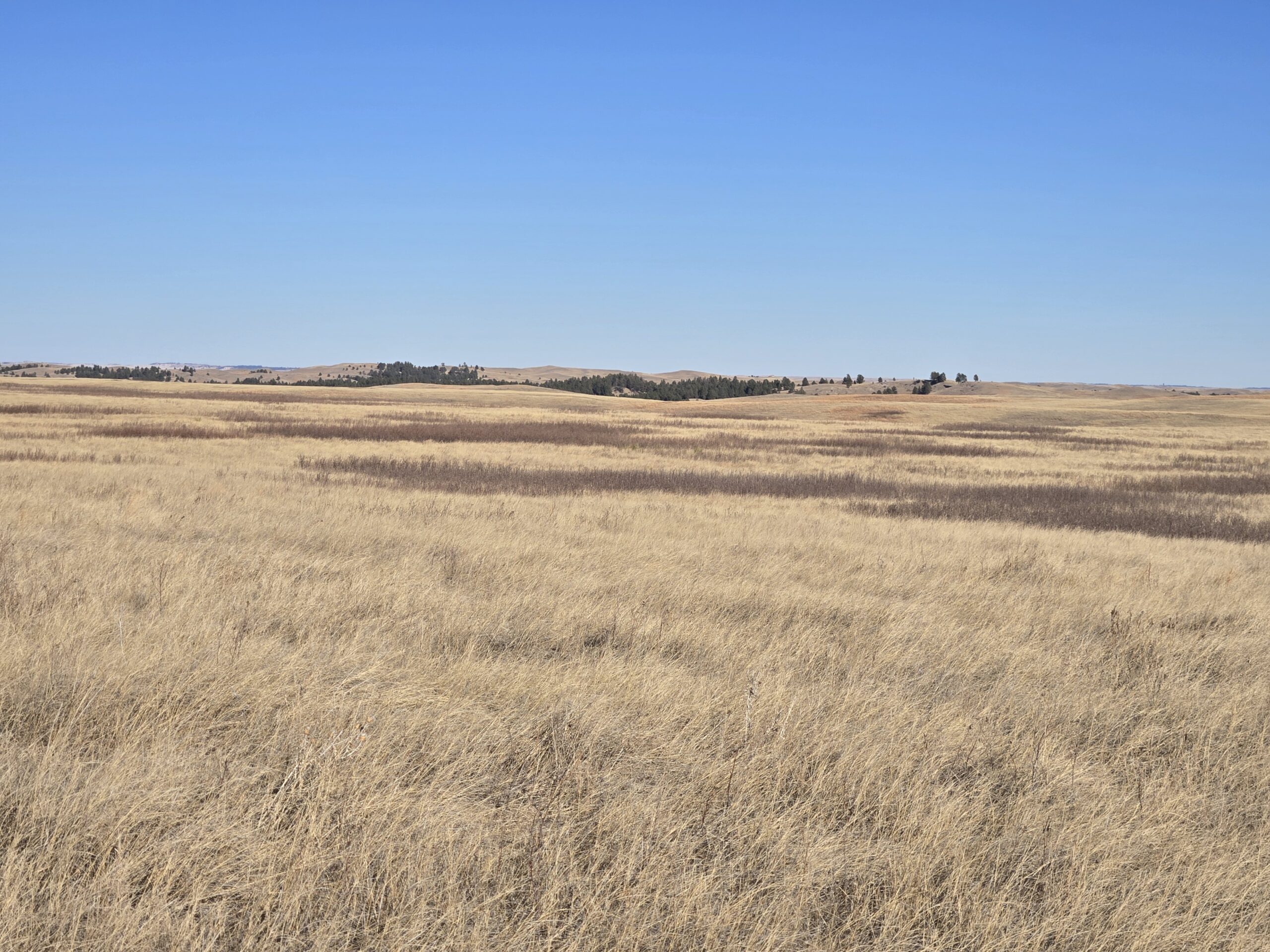 Bennett County, South Dakota Ranchland Auction