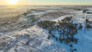 Holt County, Nebraska Irrigated Farms and Pasture Auction