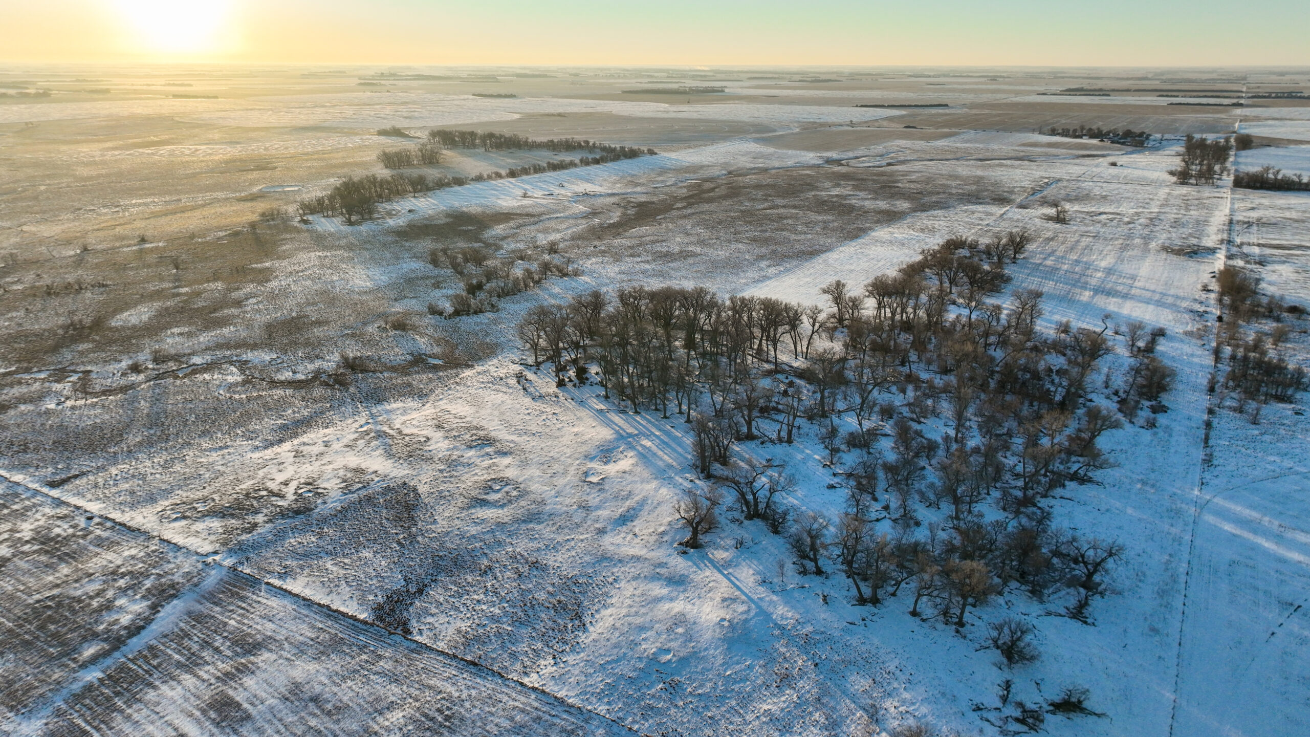 Holt County, Nebraska Irrigated Farms and Pasture Auction
