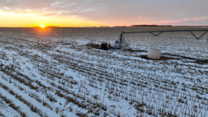 Holt County, Nebraska Irrigated Farms and Pasture Auction
