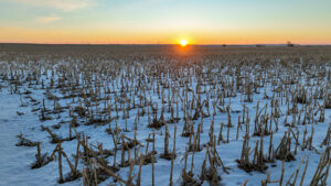 Holt County, Nebraska Irrigated Farms and Pasture Auction